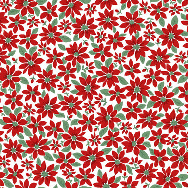Merry Mix Pointsetta