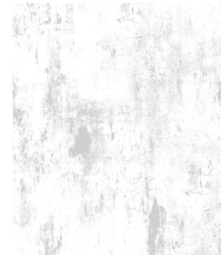 Essentials Vintage Texture - White on White