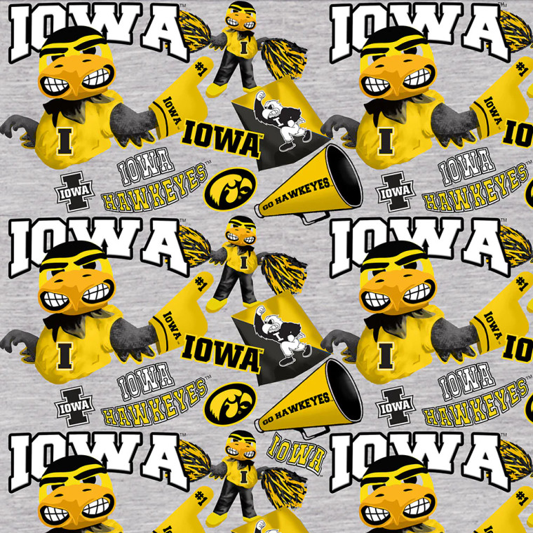 NCAA University of Iowa: Hawkeye-1164