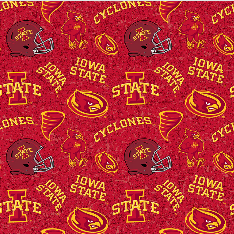 Iowa State -1178