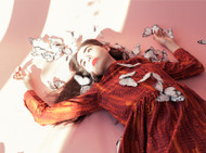 Your Third Blog Post!