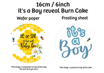 16cm / 6inch It's a BOY reveal burn cake