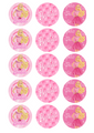 Barbie 1 Standard licensed cupcake toppers