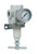 PneumaticPlus SAR400H-N04BG High Pressure Air Pressure Regulator | 1/2" NPT | T-Handle | Gauge & Bracket Included