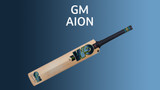 Unleash Your Inner Powerhouse: A Deep Dive into the GM Aion 2024 English Willow Cricket Bat Series