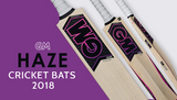 Learn About GM Haze Cricket Bat 2018