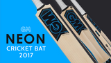 ​GM Neon Cricket Bat 2017