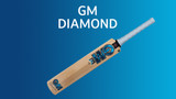 Unleash Your Inner Powerhouse: A Deep Dive into the 2024 GM English Willow Cricket Bat Diamond Series