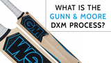 What is the Gunn & Moore DXM Process?