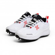 Payntr Cricket Shoes - Cricket Store Online