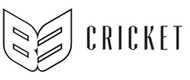 B3 cricket