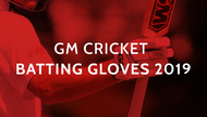 Learn About GM Cricket Batting Gloves 2019 Online