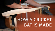 Learn How A Cricket Bat is Made