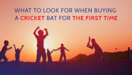 What to look for when buying a cricket bat
