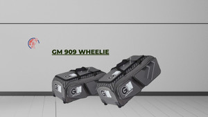 Unveiling the Power of GM - 909 Wheelie: A Cricketer's Guide