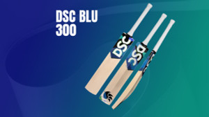 Unleash Your Inner Power Hitter: A Deep Dive into  the DSC BLU 2024 Series