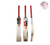 SS PLATINUM CORE CRICKET BAT 2022