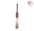 SS PLATINUM ELITE CRICKET BAT 2022