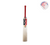 SS PLATINUM CLASSIC CRICKET BAT 2022