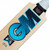GM Diamond Limited Edition Cricket Bat 2022