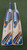 Protos Original Players Cricket Bat  (No Discount)