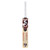 SG Roar Ultimate Cricket Bat 2023