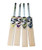 SG LIAM Punch Cricket Bat 2024