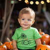 Halloween Spider with Web Applique Design