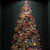 Christmas Decorations Tour with Alan Anderson Jeweled Tree Trunk Show (November 21, 2026)