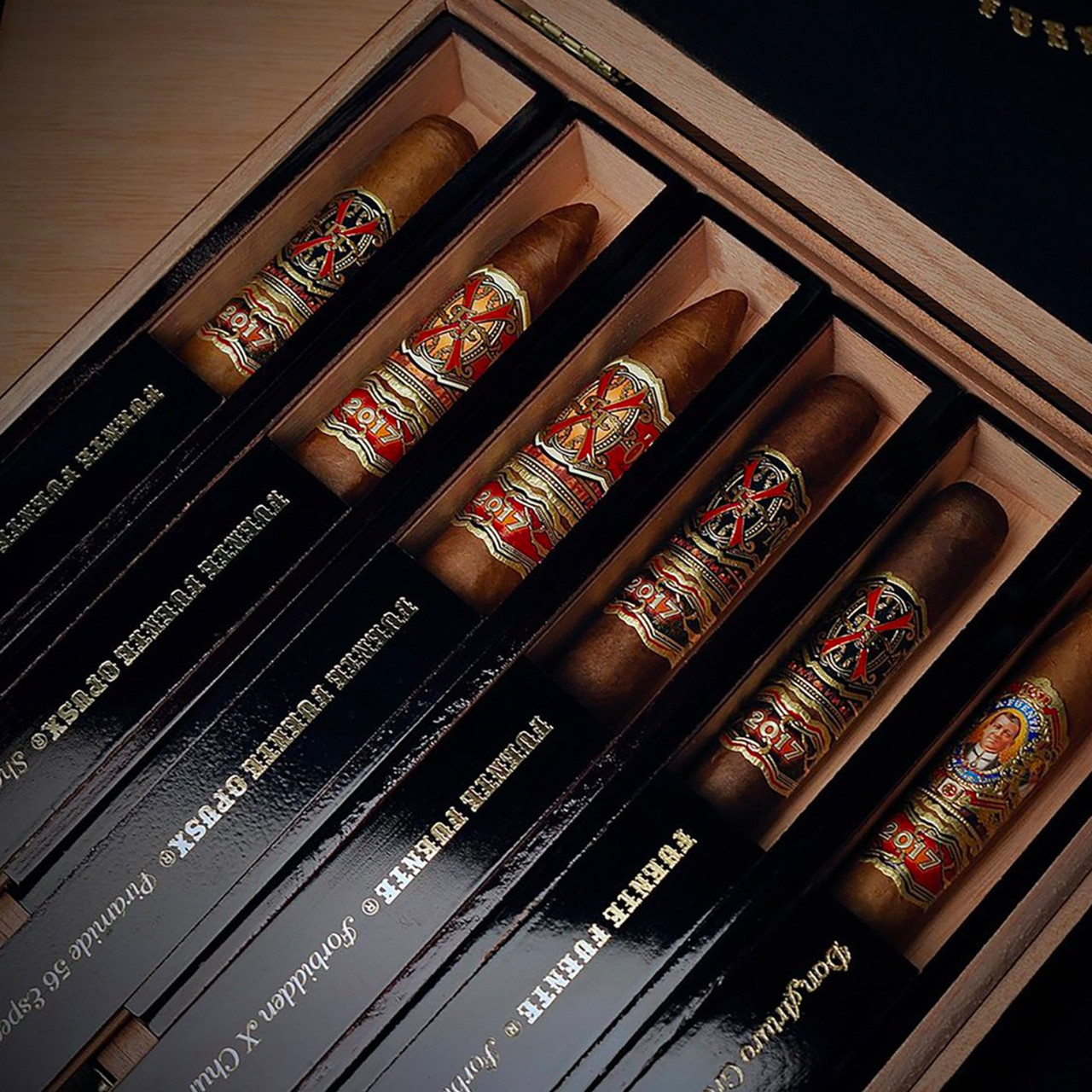 トップス Opus Yeba Theory Luxe 2021 7eye-by-Panoptx---Shasta-