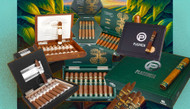 Top Plasencia Cigars: Discover the Best Options for Every Palate
