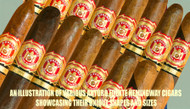 The Unique Flavor Profile of Arturo Fuente Hemingway Cigars with Cameroon Wrapper
