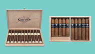 Discover Surrogates Backline and L'Atelier Côte d'Or 19 Launching Soon