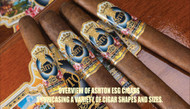 Finding Your Perfect Ashton ESG Cigar: A Helpful Buying Guide