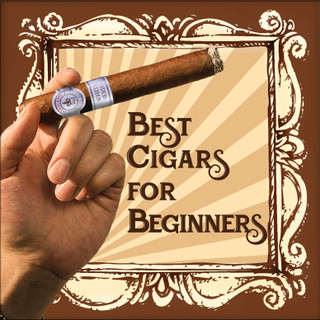 Best cigars for beginners