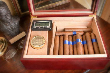 Best Humidor Hygrometers for Cigars Guide