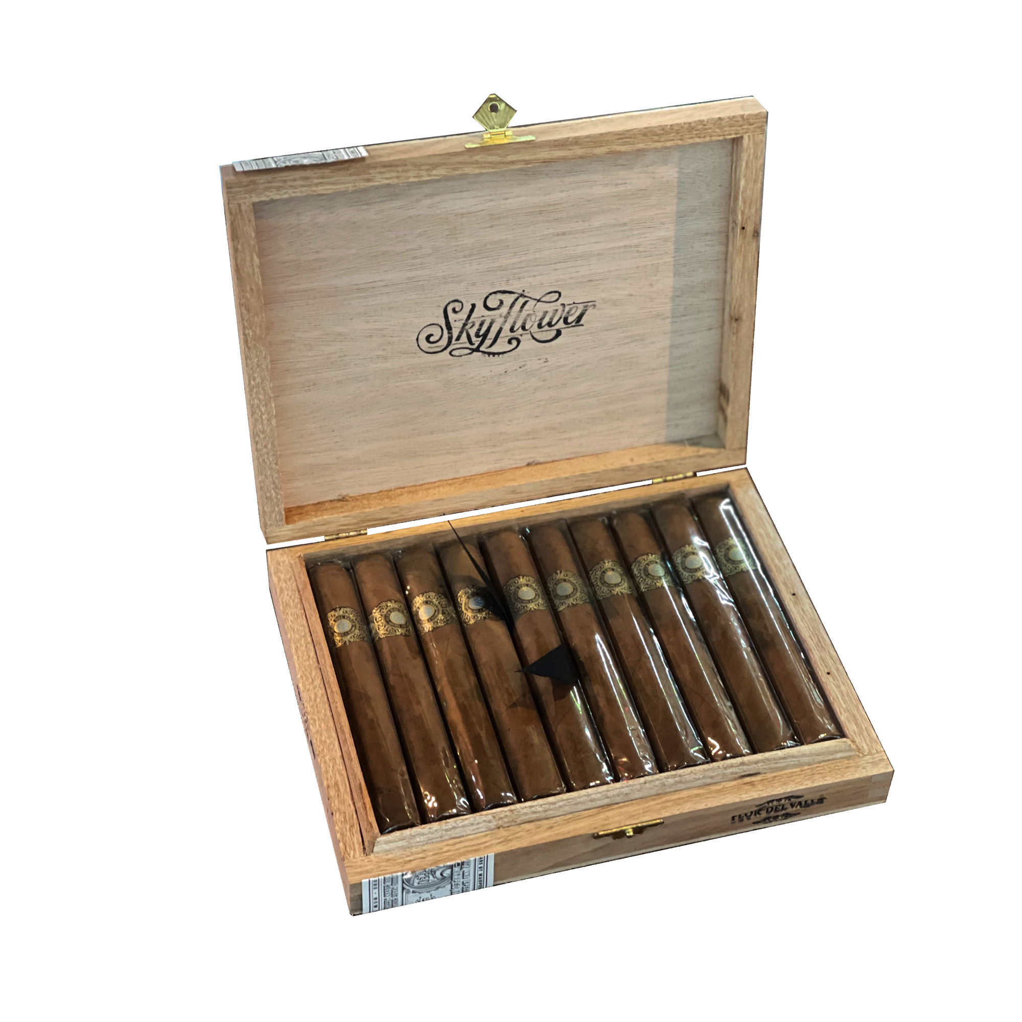 Warped Flor del Valle Sky Flower | Nicaraguan Jalapa Corojo 99