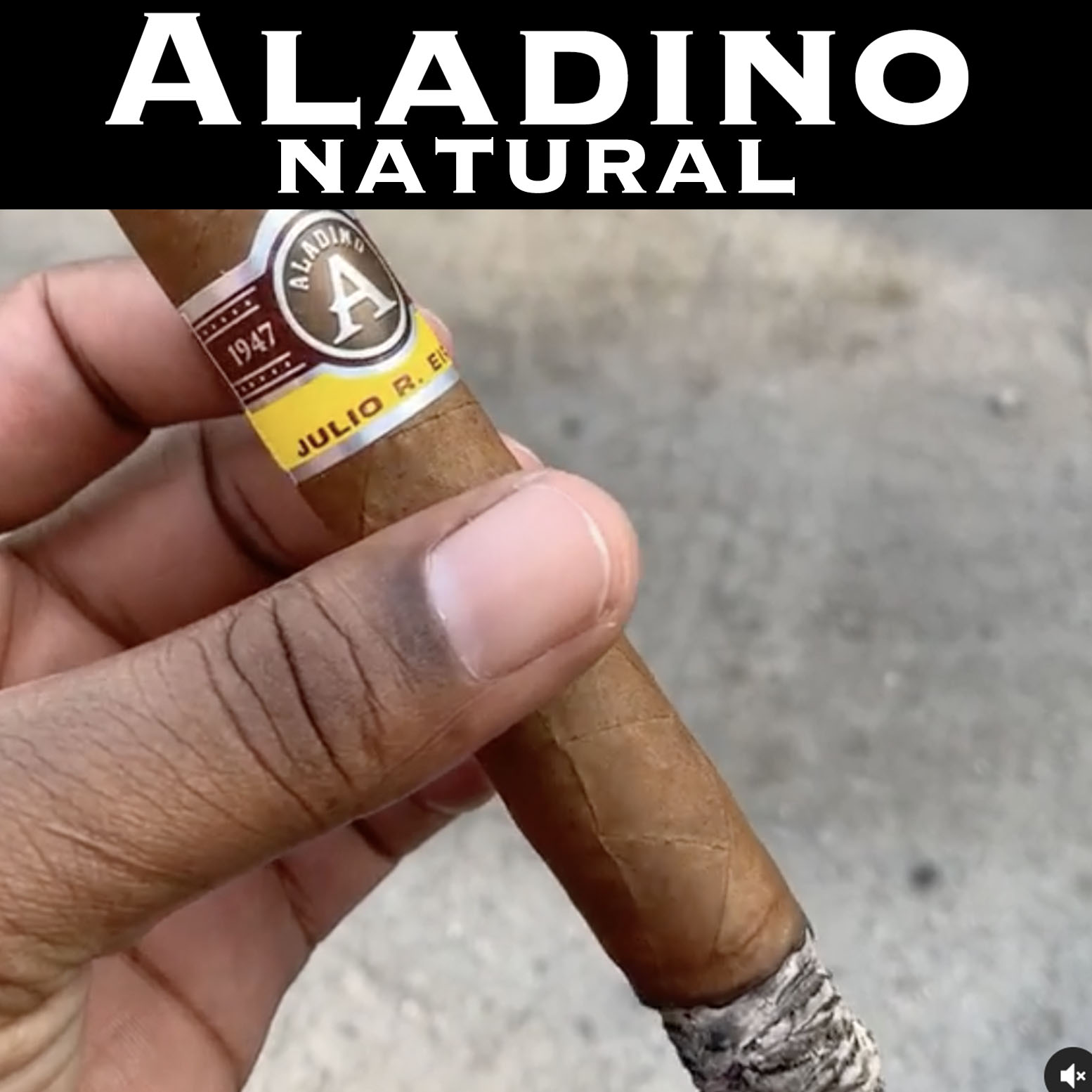 JRE Aladino Natural