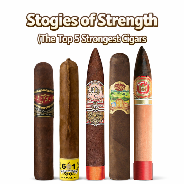 strongest cigarette Top 5 Strongest Cigars Sampler