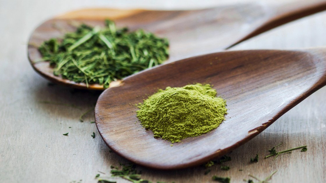 10 Powerful Benefits of Moringa