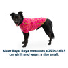 Ruffwear Climate Changer Fleece Jacket showing size example on dog