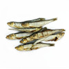Anco Ocean Dried Sprats, showing loose