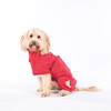 Ruff and Tumble Drying coat in Brick Red, shown on Cockapoo