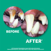 Before & after of dogs teeth from using Tropiclean Oral Care Gel