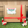 Large Christmas Treat Box by K9 Active, showing the outer packaging with decorations around it.