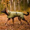Rukka Sky Raincoat on German Shepherd - Reliable Weather Protection for Large Breeds