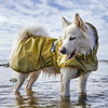 Hurtta Mudventure Reflective Coat on dog