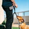 Dexas Pooch Pouch grey silicone clip-on dog treat pouch