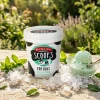 A spoonful of Scoop's Mint ice cream from the tub