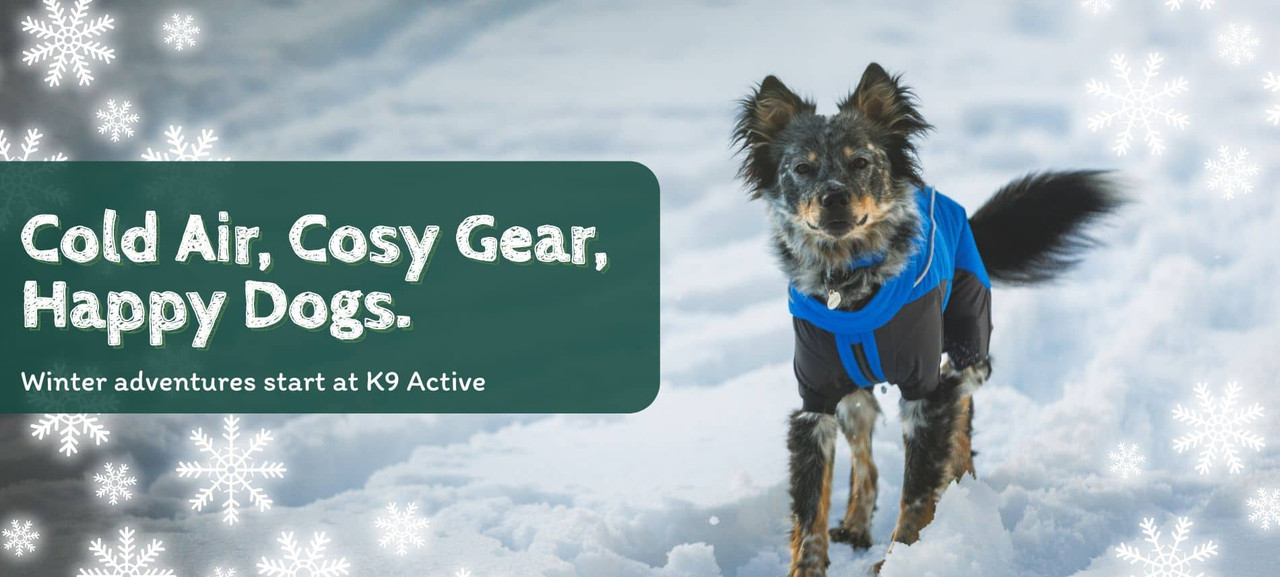 Winter adventures start with K9 Active